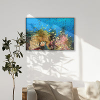 PB-100W070