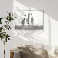 PS-060W040
