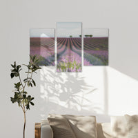 AC-150T100