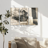 AC-060R040