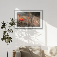 PBP100W070