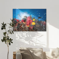 LW-120W080