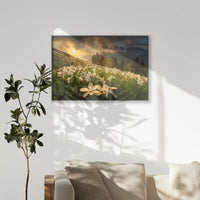 PB-120W080
