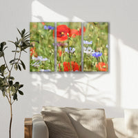 LW-060R040