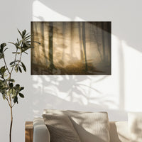 PO-075W050