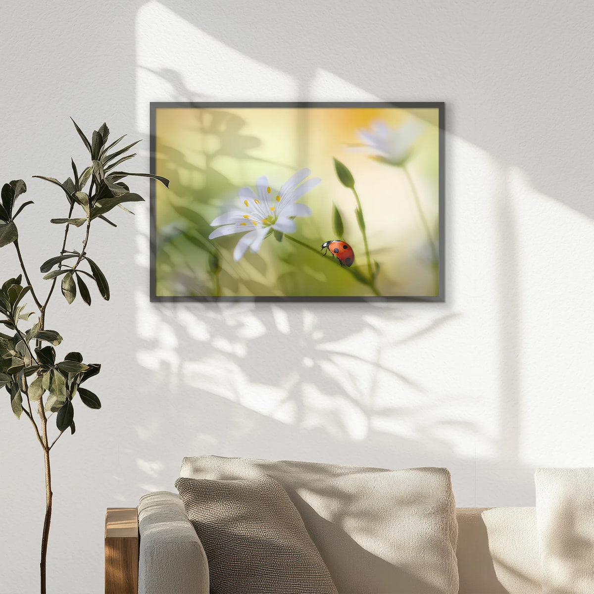 PK-093W062