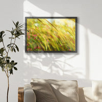 LWB060W040