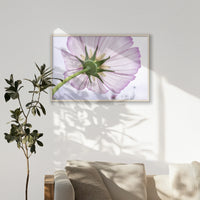 PN-100W070