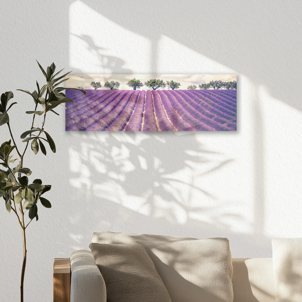 AC-060P020