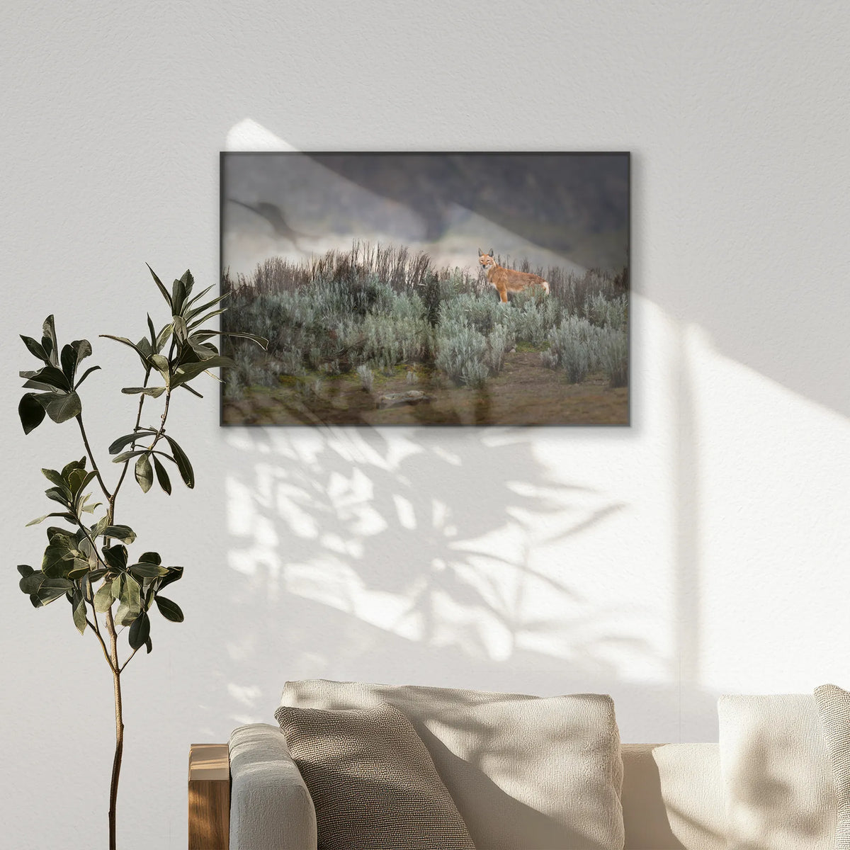 PB-120W080