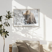 PN-093W062