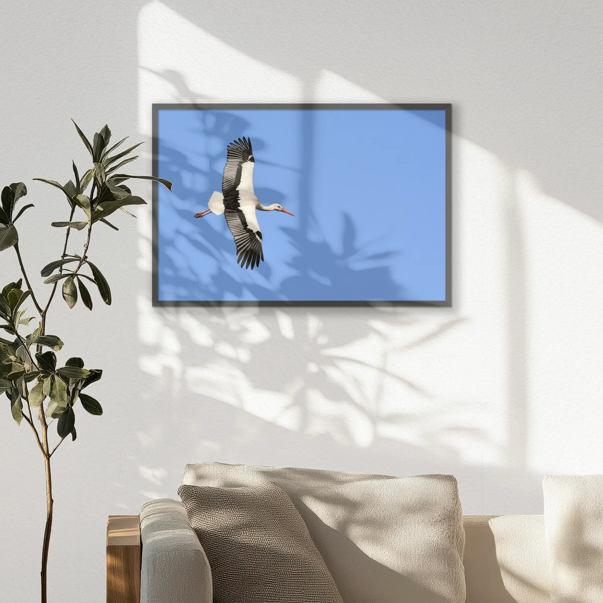 PK-093W062