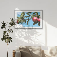 PBP100W070