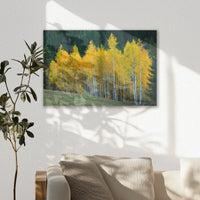 AC-060W040