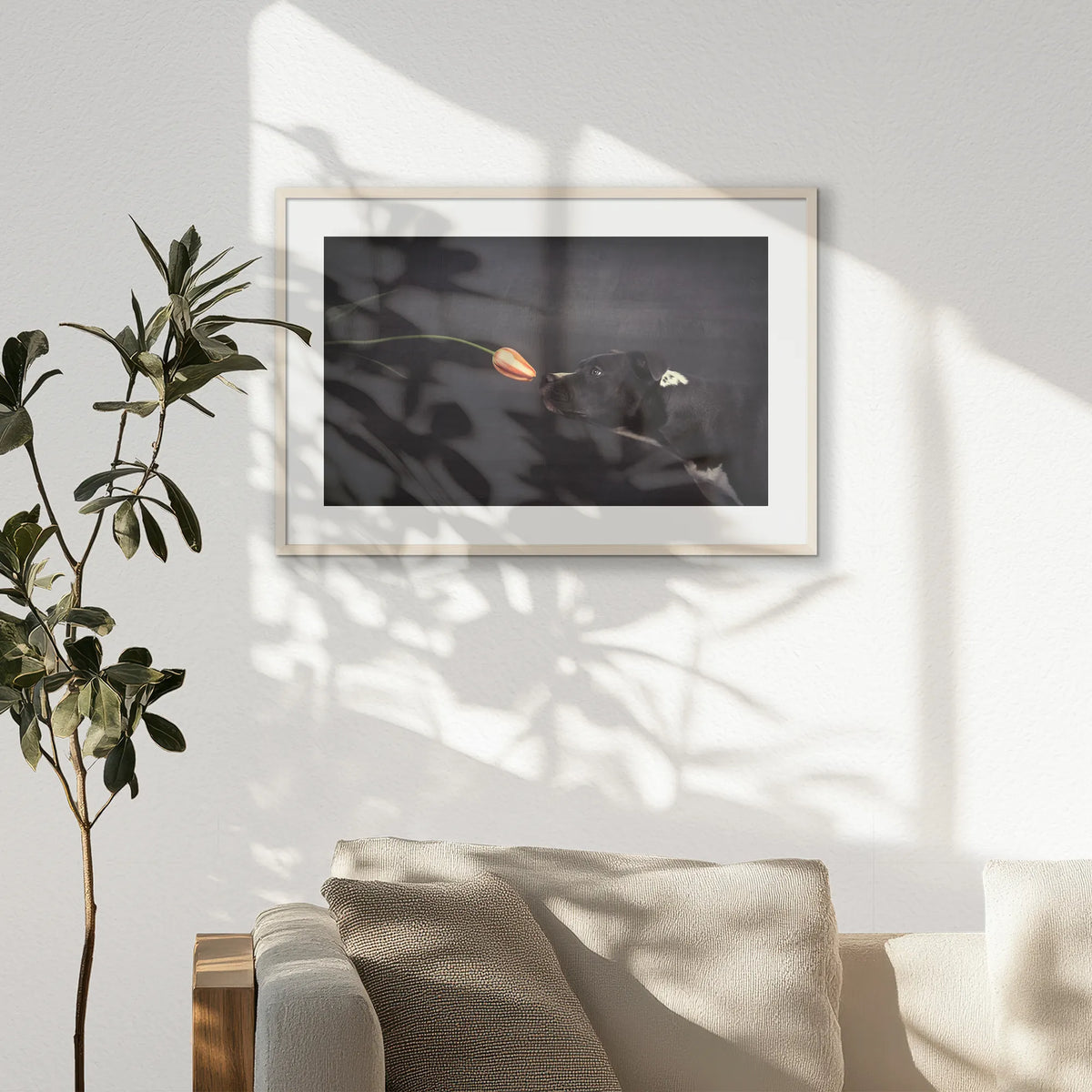 PNP093W062
